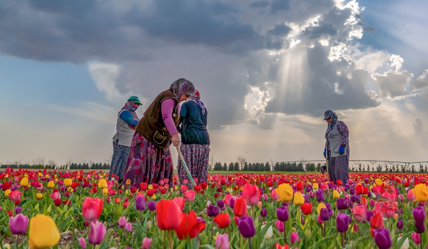 City of Konya Photos